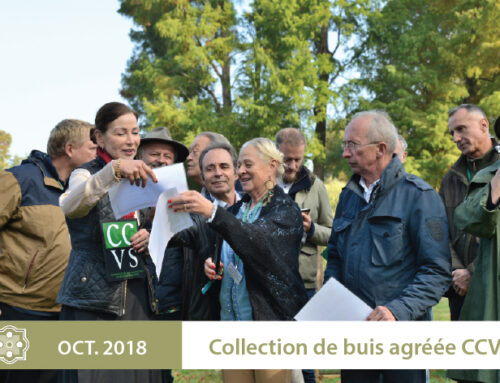 Collection de Buis agréée CCVS