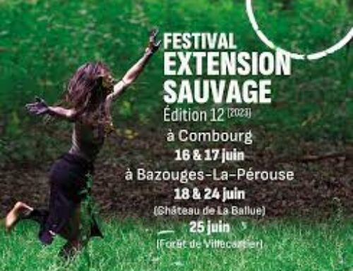 Festival Extension Sauvage #12