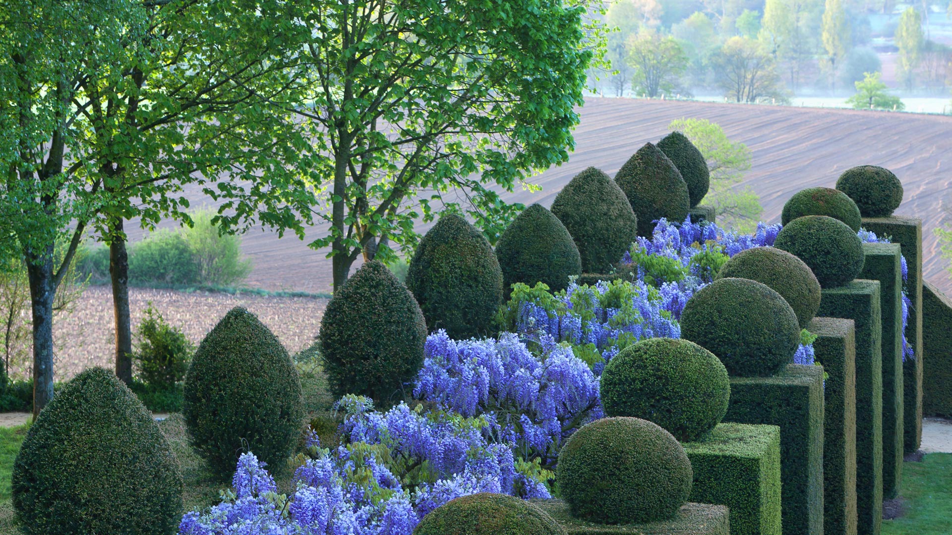 chateau-et-jardins-de-la-ballue-allee-des-glycines2