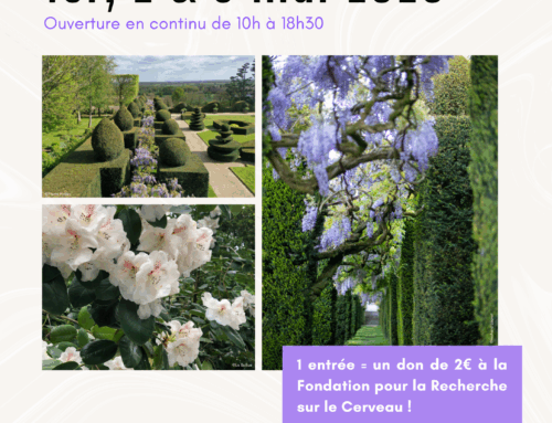 Neurodon – du 1er au 3 mai 2026